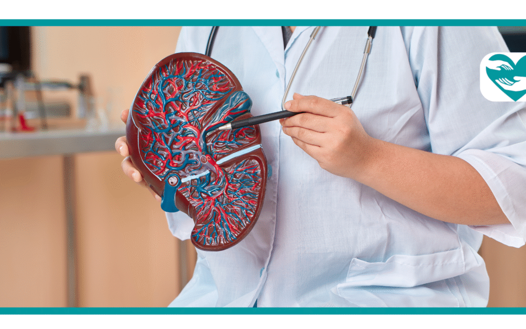 Does Tirzepatide cause liver damage?