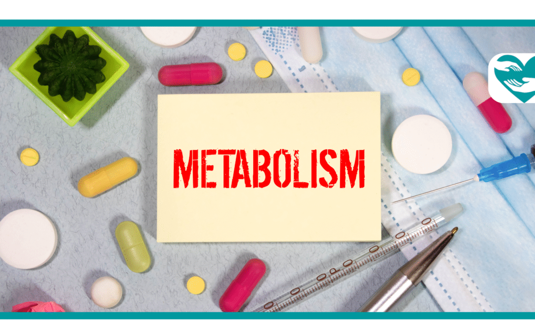 Does Tirzepatide increase metabolism?