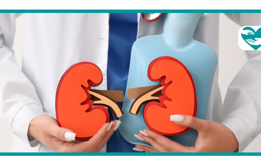 Is Metformin Bad for Your Kidneys? Facts
