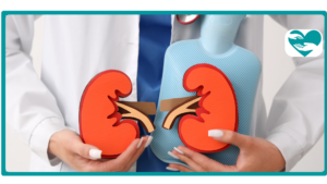 Is Metformin Bad for Your Kidneys Facts